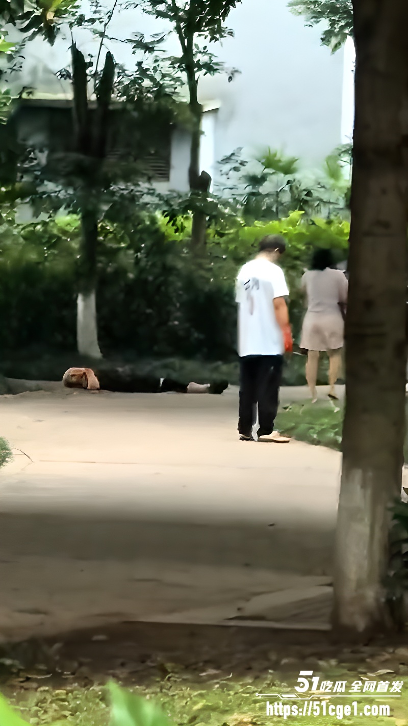 重庆理工大学 副教授持刀杀害副校长 职场十年积怨爆发 声称替天行道！