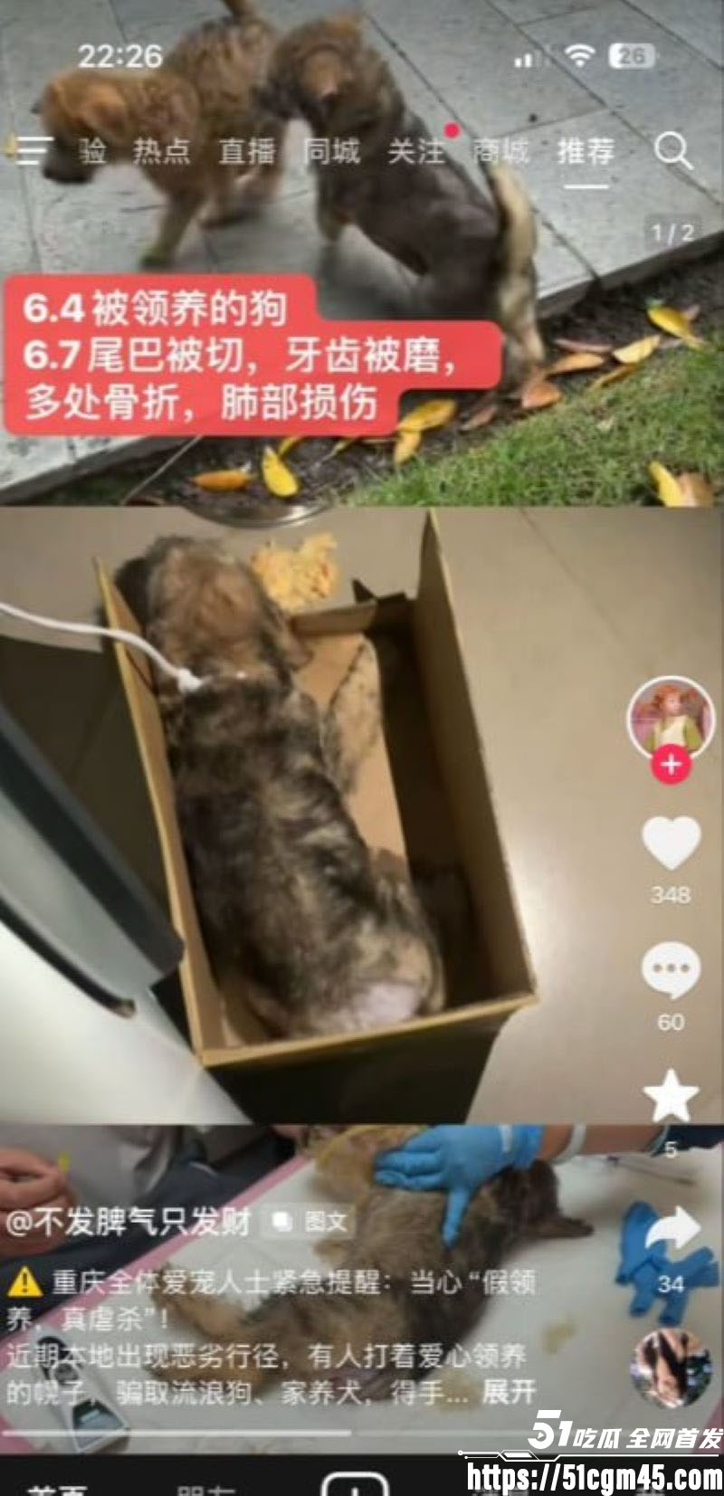 重庆山姆打包哥 李萌 领养小狗残忍虐杀致死 夫妻剪牙断尾骨折抛尸丧心病狂！