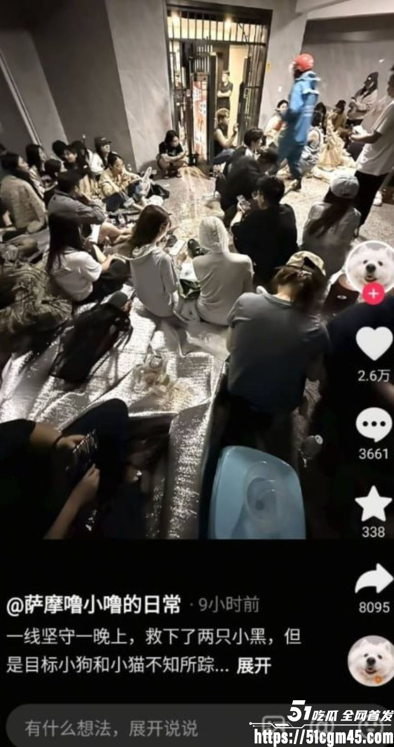 重庆山姆打包哥 李萌 领养小狗残忍虐杀致死 夫妻剪牙断尾骨折抛尸丧心病狂！